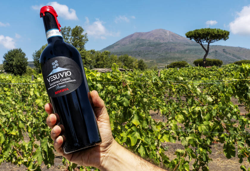 adriver sorrento local wine tasting