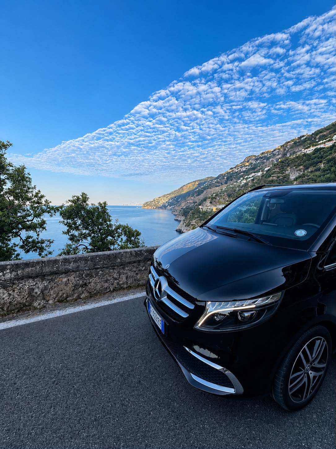 adriver sorento new (3)